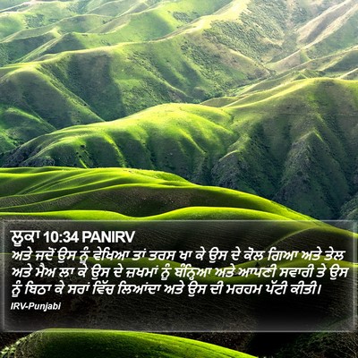 ਲੂਕਾ 10:34 PANIRV Bible Verse Image