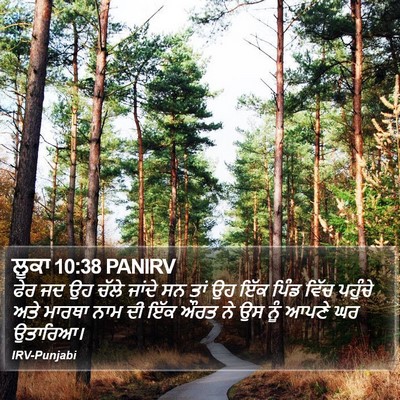 ਲੂਕਾ 10:38 PANIRV Bible Verse Image