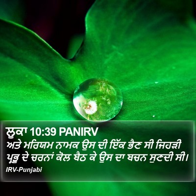 ਲੂਕਾ 10:39 PANIRV Bible Verse Image