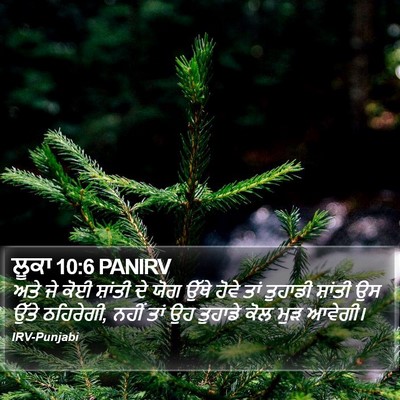 ਲੂਕਾ 10:6 PANIRV Bible Verse Image