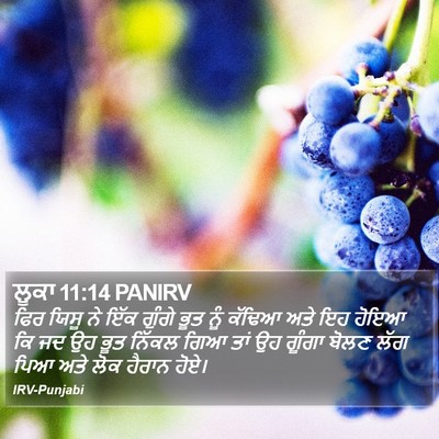 ਲੂਕਾ 11:14 PANIRV Bible Verse Image