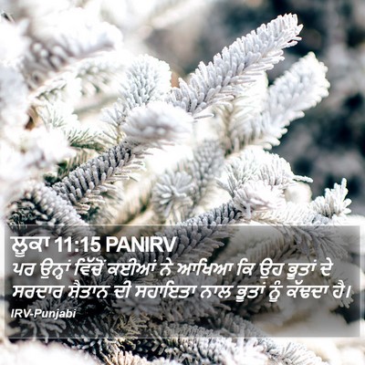 ਲੂਕਾ 11:15 PANIRV Bible Verse Image