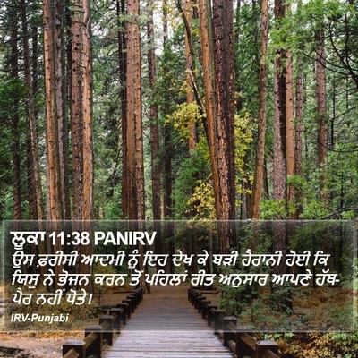 ਲੂਕਾ 11:38 PANIRV Bible Verse Image