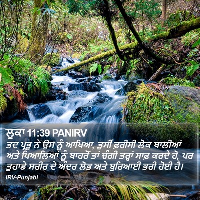 ਲੂਕਾ 11:39 PANIRV Bible Verse Image