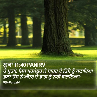 ਲੂਕਾ 11:40 PANIRV Bible Verse Image