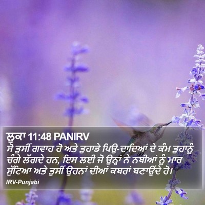 ਲੂਕਾ 11:48 PANIRV Bible Verse Image