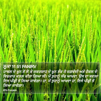 ਲੂਕਾ 11:51 PANIRV Bible Verse Image