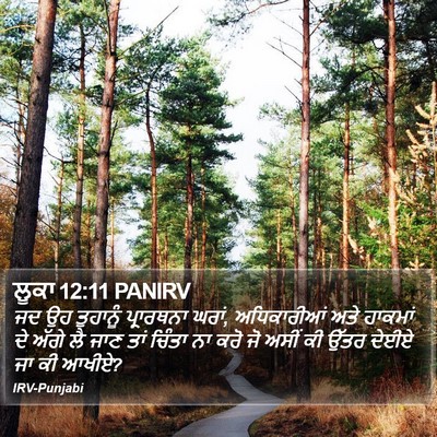 ਲੂਕਾ 12:11 PANIRV Bible Verse Image