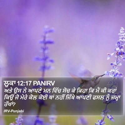 ਲੂਕਾ 12:17 PANIRV Bible Verse Image