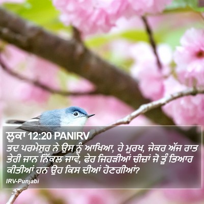 ਲੂਕਾ 12:20 PANIRV Bible Verse Image