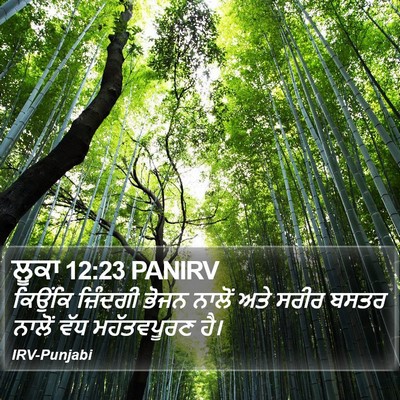 ਲੂਕਾ 12:23 PANIRV Bible Verse Image
