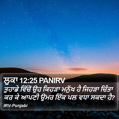 ਲੂਕਾ 12:25 PANIRV Bible Verse Image