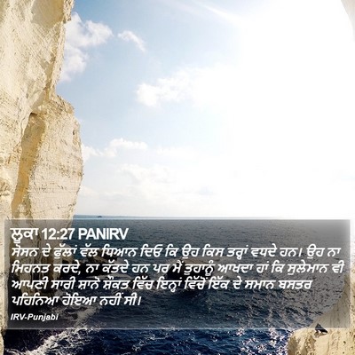 ਲੂਕਾ 12:27 PANIRV Bible Verse Image