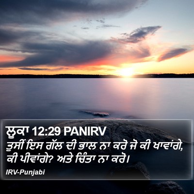 ਲੂਕਾ 12:29 PANIRV Bible Verse Image