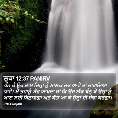 ਲੂਕਾ 12:37 PANIRV Bible Verse Image