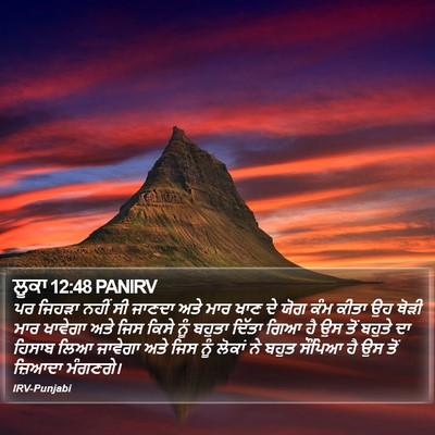 ਲੂਕਾ 12:48 PANIRV Bible Verse Image
