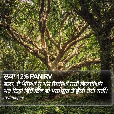 ਲੂਕਾ 12:6 PANIRV Bible Verse Image