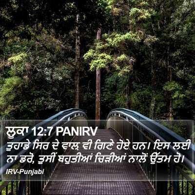 ਲੂਕਾ 12:7 PANIRV Bible Verse Image