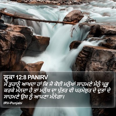 ਲੂਕਾ 12:8 PANIRV Bible Verse Image