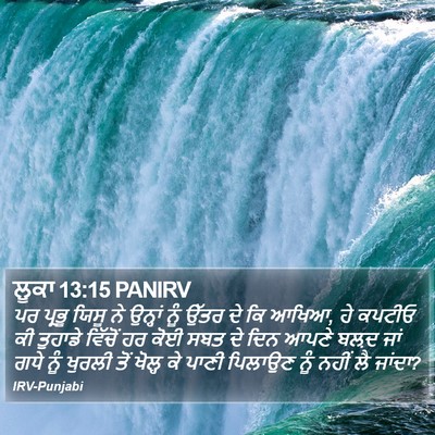 ਲੂਕਾ 13:15 PANIRV Bible Verse Image