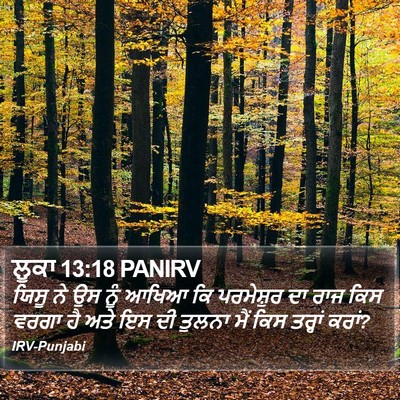 ਲੂਕਾ 13:18 PANIRV Bible Verse Image