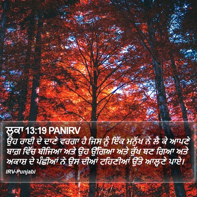 ਲੂਕਾ 13:19 PANIRV Bible Verse Image