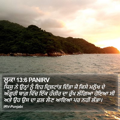 ਲੂਕਾ 13:6 PANIRV Bible Verse Image