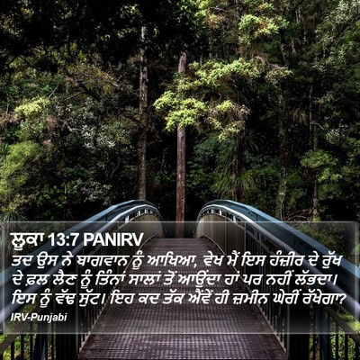 ਲੂਕਾ 13:7 PANIRV Bible Verse Image