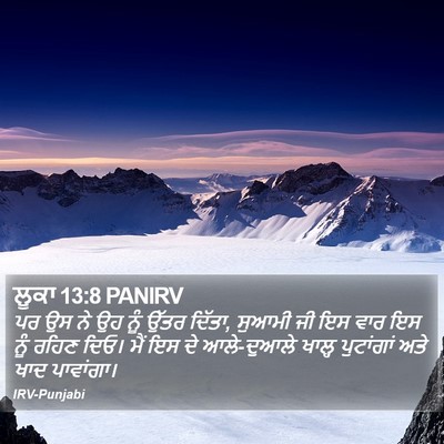 ਲੂਕਾ 13:8 PANIRV Bible Verse Image