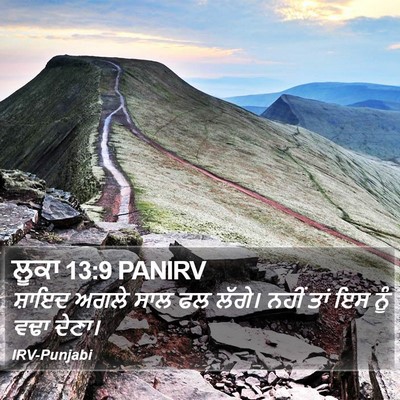 ਲੂਕਾ 13:9 PANIRV Bible Verse Image