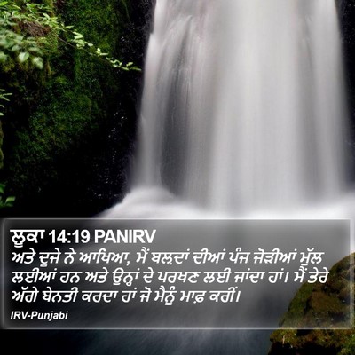 ਲੂਕਾ 14:19 PANIRV Bible Verse Image