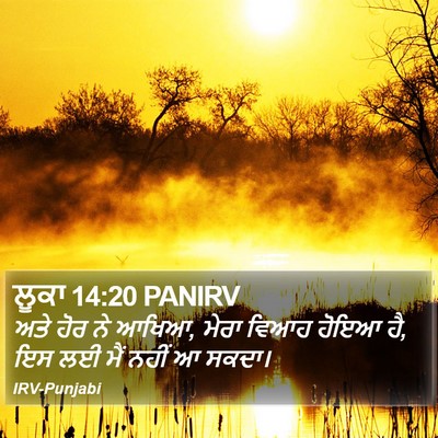ਲੂਕਾ 14:20 PANIRV Bible Verse Image