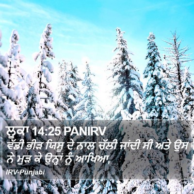 ਲੂਕਾ 14:25 PANIRV Bible Verse Image