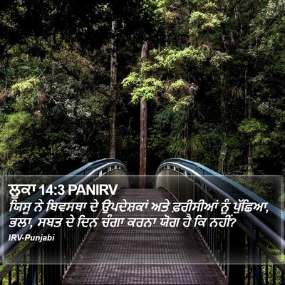 ਲੂਕਾ 14:3 PANIRV Bible Verse Image