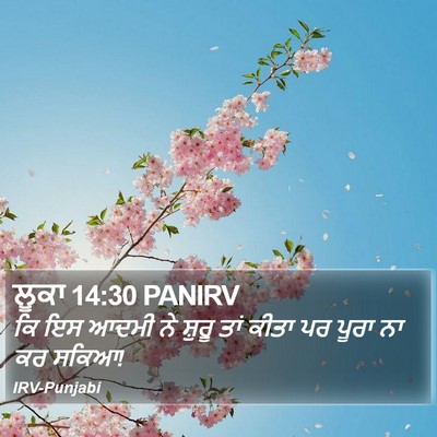 ਲੂਕਾ 14:30 PANIRV Bible Verse Image