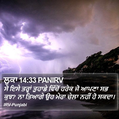 ਲੂਕਾ 14:33 PANIRV Bible Verse Image