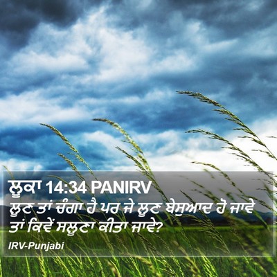 ਲੂਕਾ 14:34 PANIRV Bible Verse Image