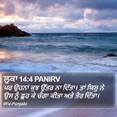 ਲੂਕਾ 14:4 PANIRV Bible Verse Image