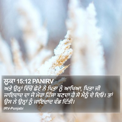ਲੂਕਾ 15:12 PANIRV Bible Verse Image