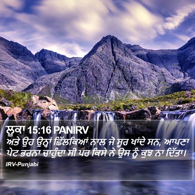 ਲੂਕਾ 15:16 PANIRV Bible Verse Image