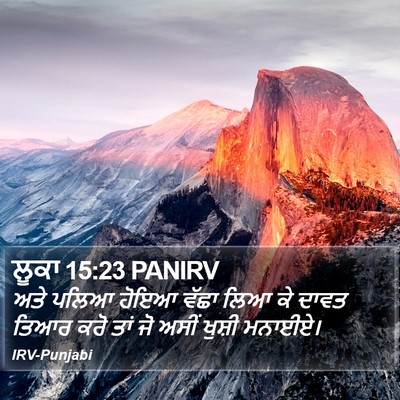 ਲੂਕਾ 15:23 PANIRV Bible Verse Image