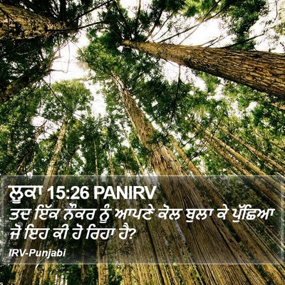 ਲੂਕਾ 15:26 PANIRV Bible Verse Image