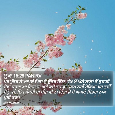 ਲੂਕਾ 15:29 PANIRV Bible Verse Image