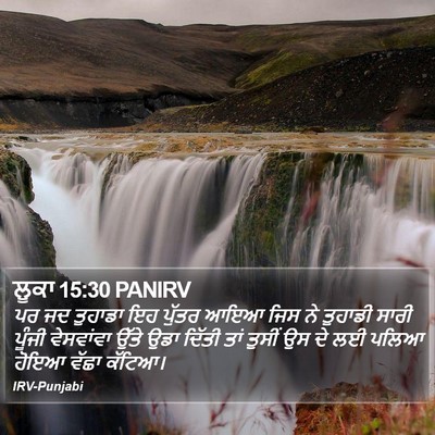 ਲੂਕਾ 15:30 PANIRV Bible Verse Image