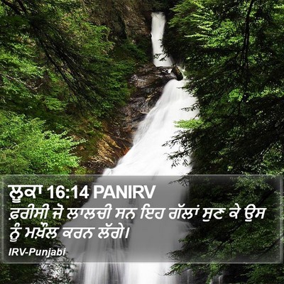 ਲੂਕਾ 16:14 PANIRV Bible Verse Image