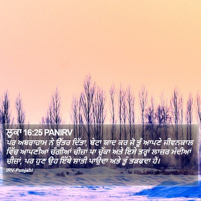 ਲੂਕਾ 16:25 PANIRV Bible Verse Image