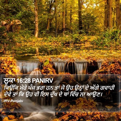 ਲੂਕਾ 16:28 PANIRV Bible Verse Image