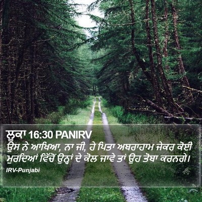 ਲੂਕਾ 16:30 PANIRV Bible Verse Image