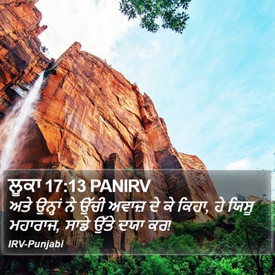 ਲੂਕਾ 17:13 PANIRV Bible Verse Image