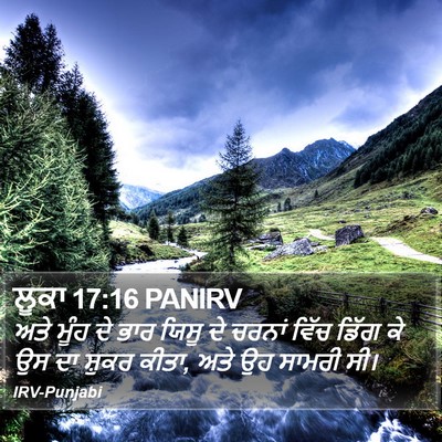 ਲੂਕਾ 17:16 PANIRV Bible Verse Image